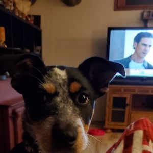 Meet your Posher, Stacey